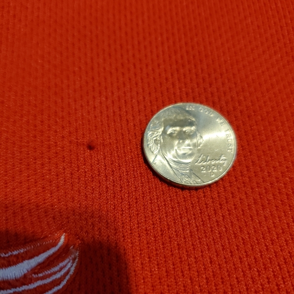 Redwings Hoodie - Picture 9 of 10